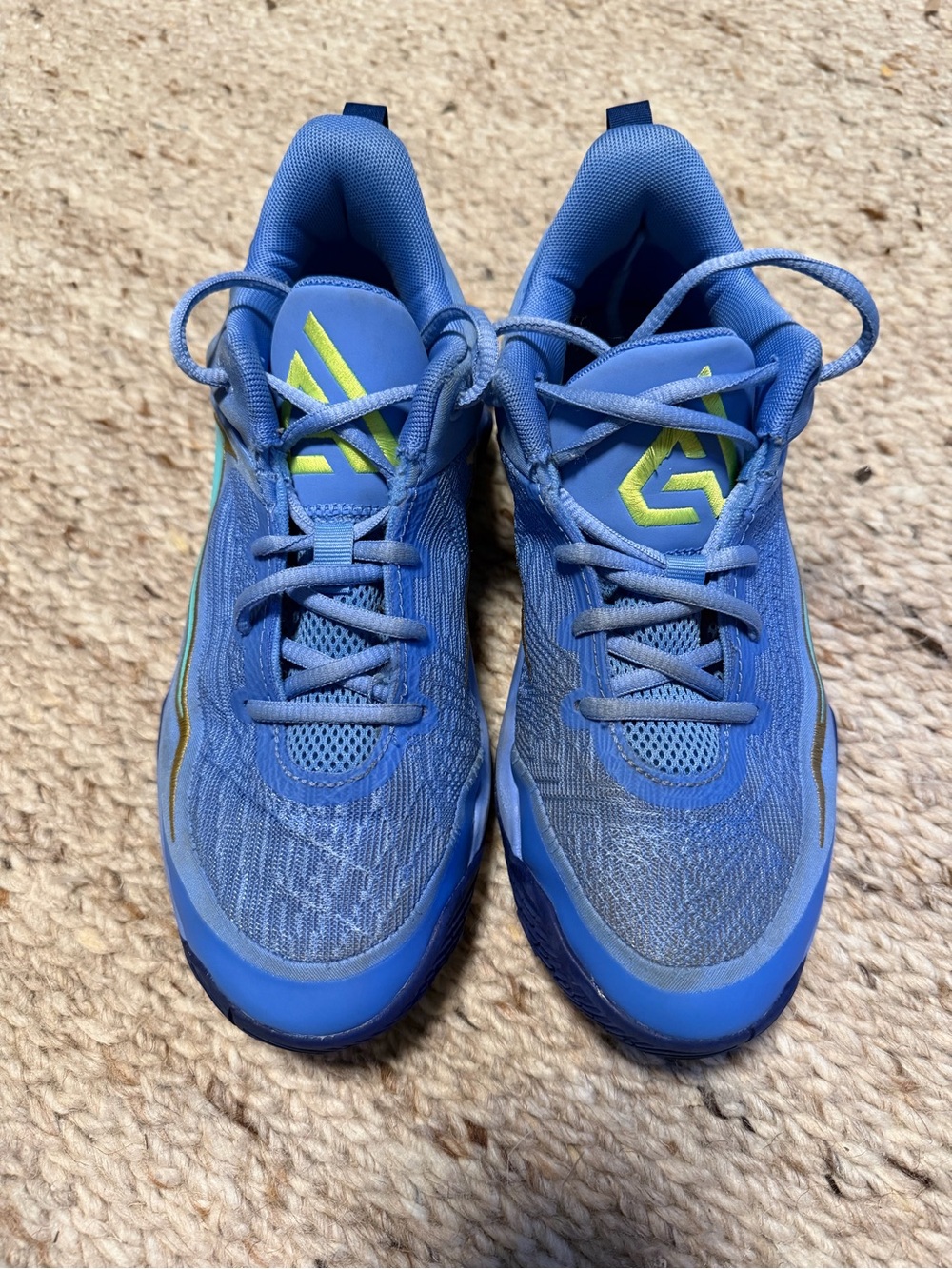 Nike/Giannis Basketball Sneakers